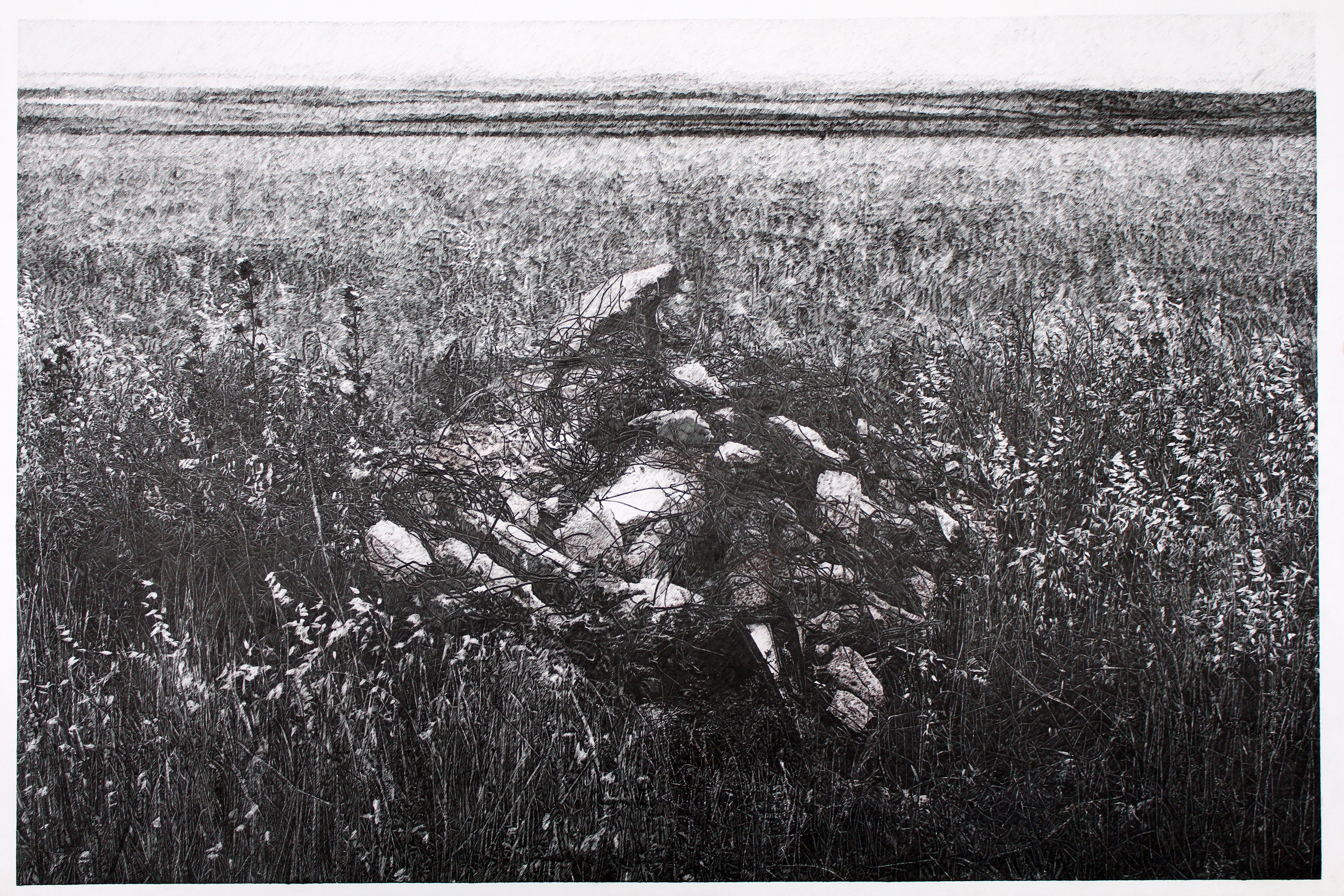 Yokyerler I, 70x100cm, kağıt üzerine mürekkepli kalem, 2016 (1).JPG