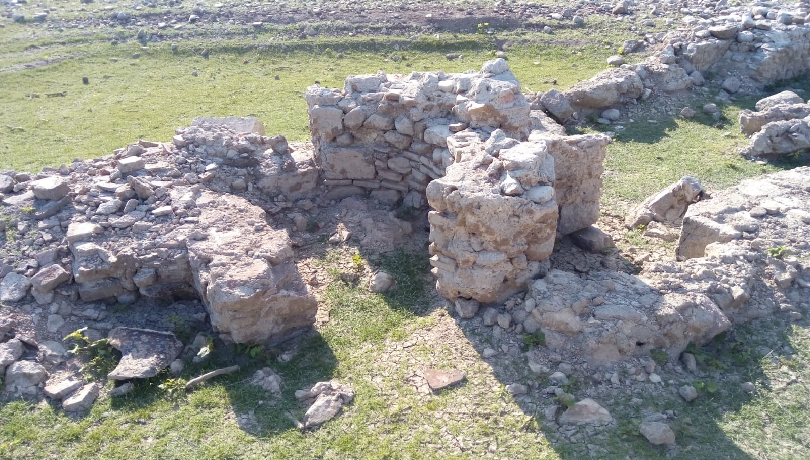 1d6e5bc0-29ff-4327-ba7a-cdd5b9edff41