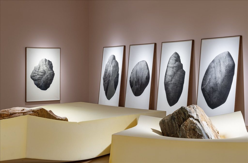 Dünyanın tekdüzenli renginde