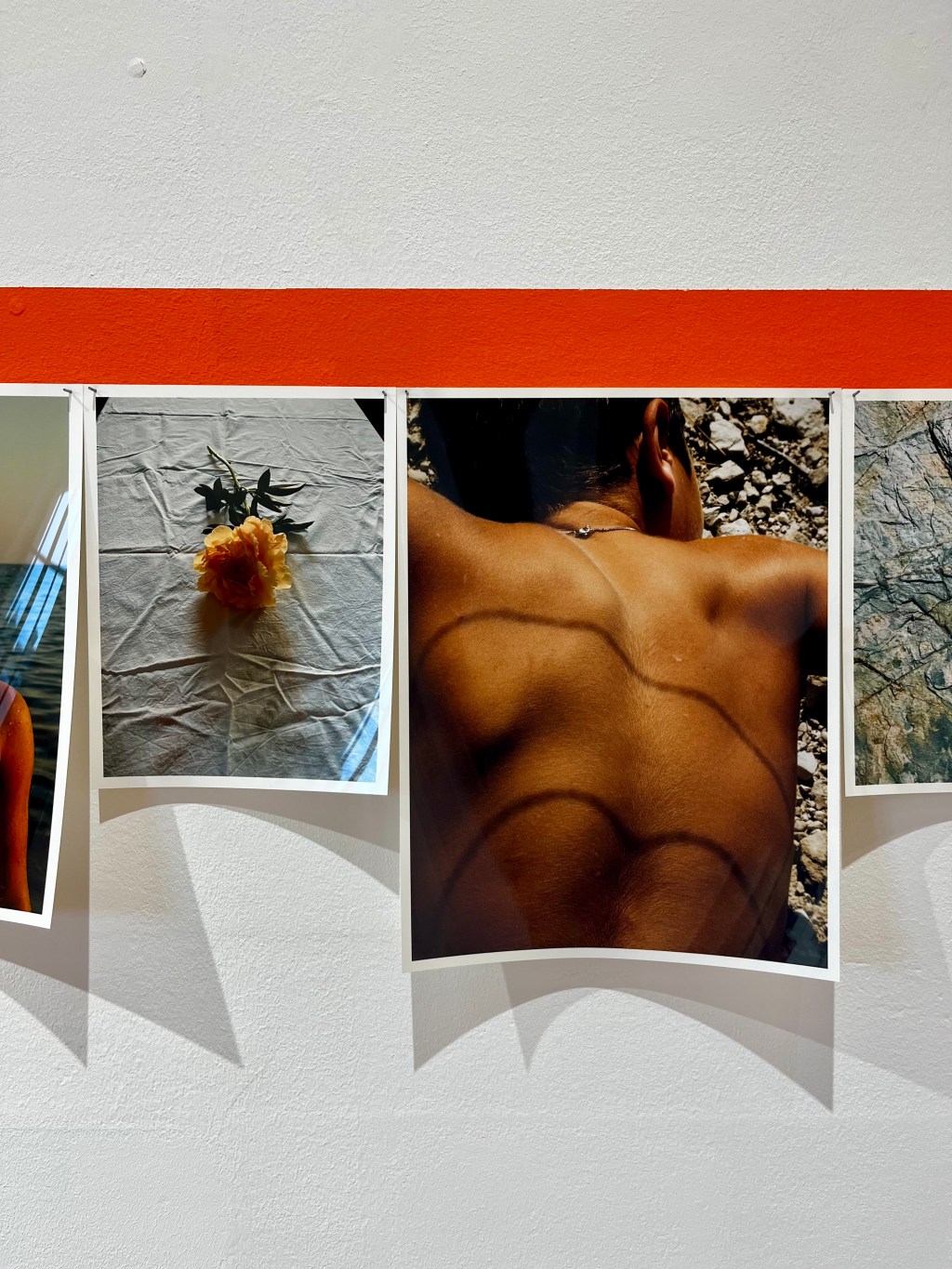 Günlük Sıradanlığa Aşk&nbsp;Şarkıları